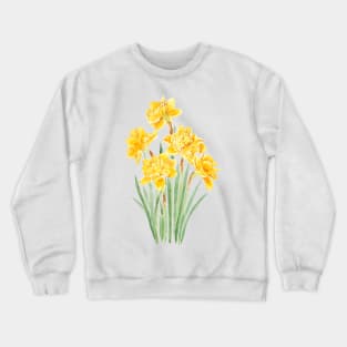 golden daffodils flowers with leaf watercolor Crewneck Sweatshirt